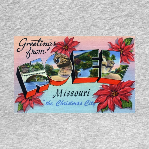 Greetings from Noel Missouri - Vintage Large Letter Postcard by Naves